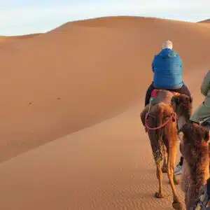 HOME 5 2dd8c9af 8a04 4018 b8e1 1fc0a453d050